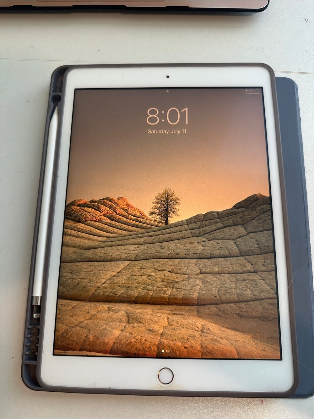 IPAD 8th GEN 32 GB WIFI ONLY+ APPLE PENCIL